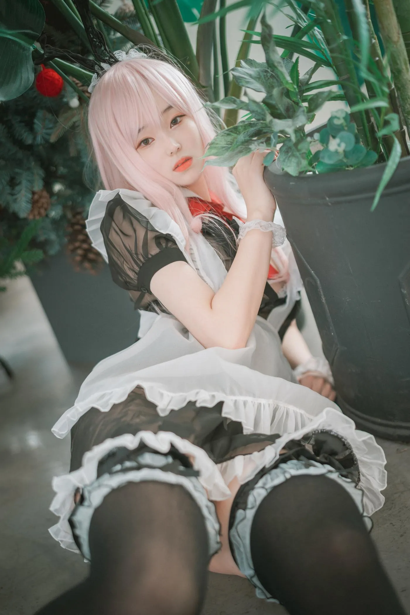 Bambi밤비 – NO.65 [DJAWA] Sheer Bunny Maid [51P]插图2